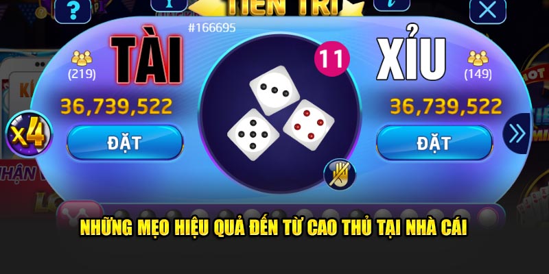Trải nghiệm cược bộ đôi hấp dẫn thú vị